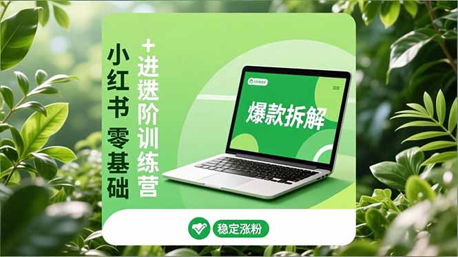 小红书零基础+高阶训练营:安全养号、爆款拆解、长效运营,实现稳定涨粉与变现-灵感工坊云网创