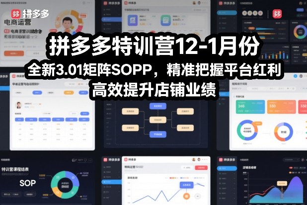 拼多多特训营12-1月份,全新3.01矩阵Sop,精准把握平台红利,高效提升店铺业绩-灵感工坊云网创