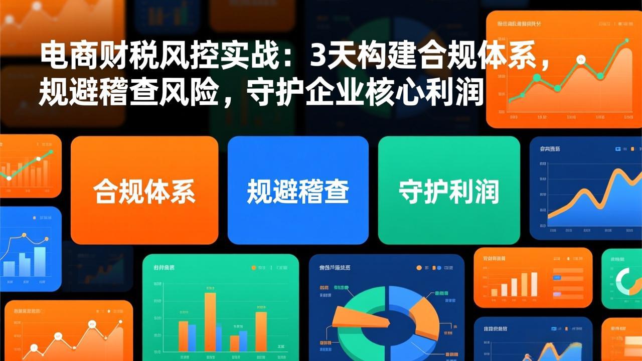 电商财税风控实战:3天构建合规体系,规避稽查风险,守护企业核心利润-灵感工坊云网创