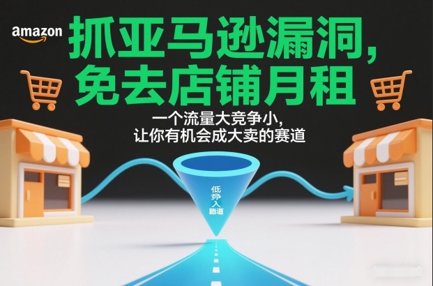 抓亚马逊漏洞,免去店铺月租,一个流量大竞争小,让你有机会成大卖的赛道-灵感工坊云网创